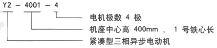 YR系列(H355-1000)高压YJTFKK6302-6-1400KW三相异步电机西安西玛电机型号说明